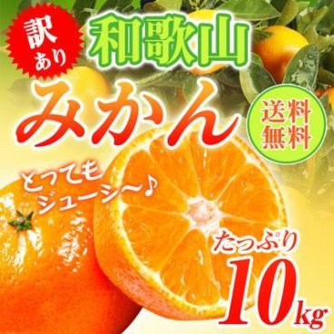 『予約』和歌山県産 訳あり みかん ミカン 10kg (傷あり サイズ不揃い ご自宅用) 【送料無料】ご自宅用 10月下旬以降より発送開始
