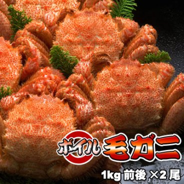 ボイル毛ガニ【超特大】1kg前後×2尾 送料無料 ※沖縄は送料別途加算