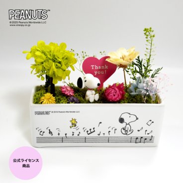 送料込み スヌーピー Forest in Bloom Thank you【プリザーブドフラワー フラワーアレンジメント 花 お花 キャラ スヌーピー 雑貨 インテリア プレゼント ギフト 母の日　誕生日 記念日 お祝い】