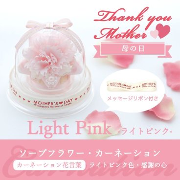 母の日 【ライトピンク】 カーネーション 花 プレゼント お祝い 母の月 薄ピンク色 桜色 薄桃色 洋風 ソープフラワー ミニドーム メッセージカード 祖母 母親 奥様 妻 子 孫から おしゃれ ママへ お母さん おばあちゃん 義理母 女性 ギフト アレンジメント 5月 第2日曜日 花ソムリエ