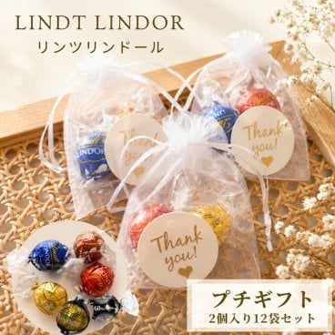 リンツ リンドール 詰め合わせ 2個入り 12袋セット thank youカード入り メール便  チョコ チョコレート ギフト プチギフト お礼 お配り用 プレゼント 職場 退職 結婚式 お祝い Lindt Lindor 食品