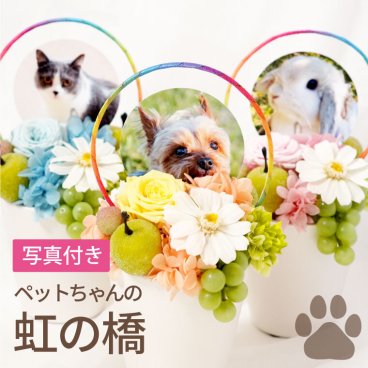 【 送料無料 】【 ペットちゃん 虹の橋 プリザーブドフラワー 】 ミニ 仏壇 おしゃれ 犬 お悔やみ 贈り物 四十九日 法要 メモリアルグッズ 写真 メモリアル ペット供養 供養花 命日 お供え物 お供え花 ミニ仏壇 喪中見舞い 花 お花 即日発送 プリザ 猫