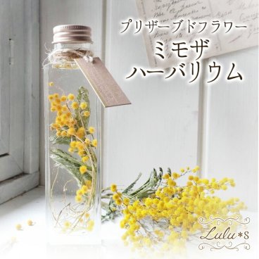 【ミモザの日・ホワイトデー】 ハーバリウム ミモザ フランス産ミランドール ドライフラワー 春 ギフト 母の日 誕生日 退職祝い 新築祝い 花 プレゼント 黄色
