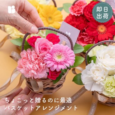 バスケットアレンジメント ミニサイズ 花束 生花 花市場から直送 アレンジメント  バラ ガーベラ　3000円以下  お祝い お誕生日 かわいい おしゃれ ギフト プレゼント 卒業 卒業式 卒園 入学 転勤 送別退職 発表会 お礼 お誕生日 女性 男性 小学校 中学校 高校 大学 社会人  即日発送 手提げ付き メッセージカード無料