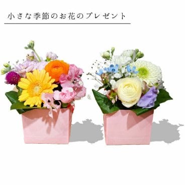 1000円 フラワーギフト 花 プチアレンジメント プチギフト 誕生日 女性 女性用プレゼント ピンク パープル 花ギフト アレンジメント ボックス お祝い 開店祝い 開業祝い 移転祝い 昇進 就任 還暦 ギフト お花の プレゼント