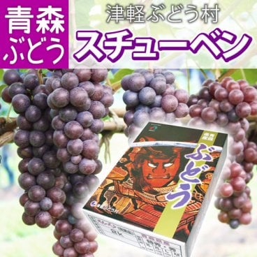 【10月中旬頃から発送】スチューベン 特秀L＆Mサイズ混合 約1.5kg(約5～7房入) 