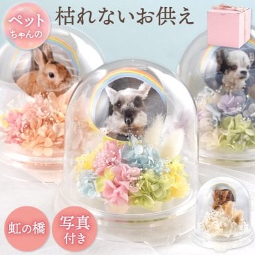 【 送料無料 】【ペットちゃんの虹の橋・メモリーポット】ペット お供え 花 プリザーブドフラワー 仏花 ドーム ミニ 犬 お悔やみ 贈り物 写真 遺影 お供え花 ペット供養 命日 49日 四十九日 法要 一周忌 お供え物 供養花 仏壇用 メモリアルグッズ 即日発送 プリザ 写真入り 喪中見舞い