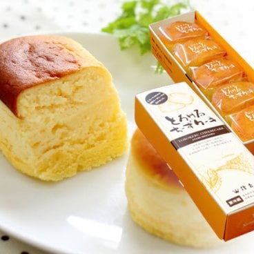 とろけるチーズケーキ10個入