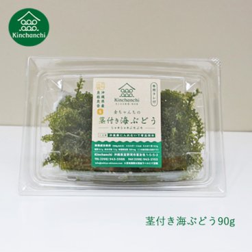 【生】茎付き海ぶどう90g