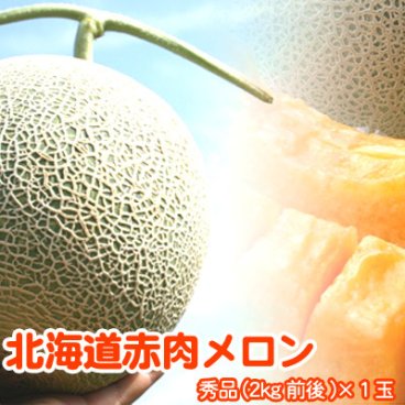 赤肉メロン 北海道 秀品 特大 2kg×1玉 送料無料 ※沖縄は送料別途加算（富良野メロン、函館メロン、らいでんメロンなど） 北海道メロン メロン
