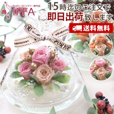 「ガラスドーム プリュマージュ」 プリザーブドフラワー 誕生日 結婚祝い プレゼント ギフト 退職祝い おしゃれ ブリザードフラワ- ブリザーブドフラワー 結婚記念日 結婚式 還暦祝い お祝い 贈り物 御礼 ブリザード 女性 花 バラ ペット 犬 お供え 仏花 天使 ドーム ガラスドーム お彼岸 敬老の日