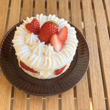 【愛犬ちゃん用】軽井沢農園パティスリーより完熟いちごのネイキッドケーキ