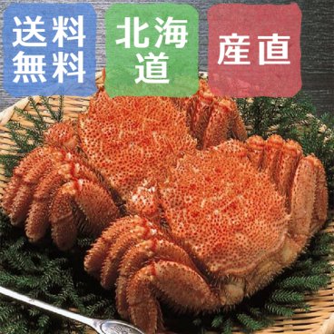 【送料無料】新鮮！北海道産ゆで毛がに 2尾セット【誕生日 結婚祝い 出産祝い 還暦祝い 結婚記念日 送別会 お祝い 引越し祝い 新築祝い 初節句 古希 喜寿 傘寿 お返し 内祝い お見舞い 快気祝い 金婚式 銀婚式 パーティー 景品 賞品 グルメ 母 父 女性 男性 両親 友達 親戚 上司 先輩 後輩 家族 子供 大人 彼氏 彼女 夫婦】【敬老の日 残暑見舞い】