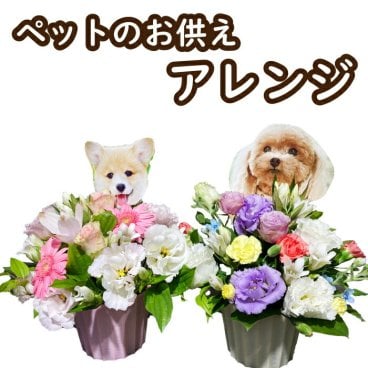 お盆 ペット お花 ペットのお供え 犬 猫　写真印刷無料 お供え お悔やみ お花 花 仏花 法事 仏事 命日 初盆 フラワーギフト アレンジ 花束 日付指定  立札 カード　わんちゃん 犬　ドッグ 猫　キャット