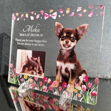 写真2枚用 ペットメモリアルプレート チューリップ｜選べるデザイン 全4種 犬 猫 愛犬 愛猫 ペット メモリアルグッズ 写真 かわいい オーダーメイド オリジナル 遺影 仏具 位牌 ペット供養 記念品 文字入り フォト 思い出 手元供養 供養 鳥 うさぎ 金魚 カナリア トイプードル チワワ ハムスター 写真立て アルバム ペットロス 刻印 名入れ ペットグッズ プレゼント ギフト 贈り物