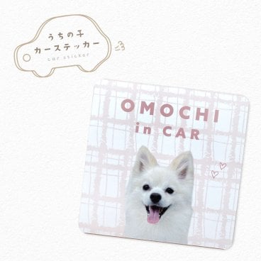 【名入れ】【カーマグネット 四角型 10×10cm】写真  ステッカー うちの子 ペット グッズ  送料無料