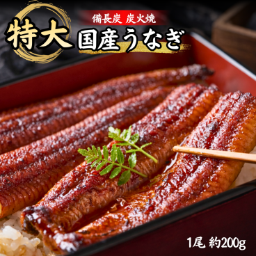 【国産】特大うなぎの蒲焼き 1尾～ 約200g　 鰻 ウナギ うなぎ 国産 特大 蒲焼き ギフト 贈答 丑の日 父の日