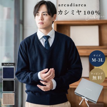 アルカディアルカ arcadiarca カシミヤ100% Vネック セーター メンズ M～3L カシミヤギフト プレゼント ギフトカシミア セーター 男 ニット vネック V首 カシミヤ100 カシミア100％ 無地 防寒 大きいサイズ ギフト 父の日 2026 プレゼント