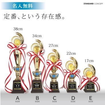 【名入無料】定番シリーズ！ トロフィー 5サイズ 38～17cm 種目が選べる 卒団 卒業 ゴルフ 野球 サッカー バスケット バレー他 RT3807