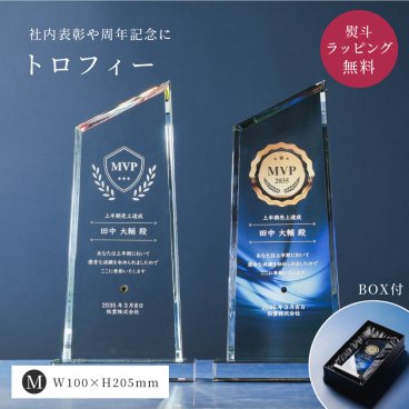 トロフィー中 台形 社内表彰・周年記念用 Mサイズ WCR-37B クリスタル トロフィー 名入れ 記念トロフィー イベント 行事 表彰 社内表彰 会社 企業 法人 贈呈 周年記念 記念品 高級 敬老の日 ギフト