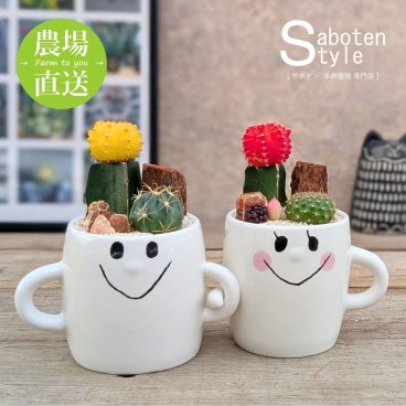 【ペアギフト】なかよしサボテン寄せ植え スマイルファミリー | 緋牡丹 ヒボタン | 育てやすい 水やり簡単 初心者にも | 多肉植物 観葉植物 インテリア | 記念日 誕生日 ギフト プレゼント デスク用 卓上 | ホワイトデー 新生活 退職 卒業 | 後藤サボテン 春日井