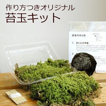 苔玉キット つくり方説明書付 ハイゴケ 手作り 初心者 こけだまの材料 かんたん作成キット 苔・苔玉用に配合した土・糸 イベント 苔 こけ コケ  コケダマ こけ玉