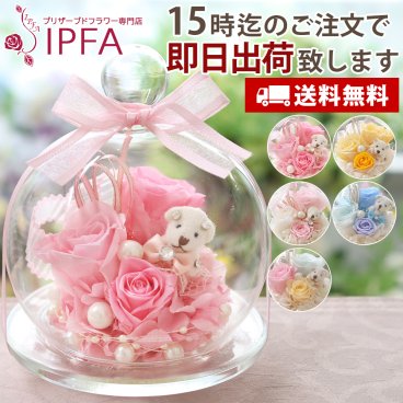 「 ガラスドーム キャンディベア」 プリザーブドフラワー 誕生日 退職祝い ギフト プリザーブド ブリザード フラワー 結婚記念日 結婚祝い プレゼント 贈り物 お祝い ブリザードフラワー 花 おしゃれ かわいい 女性 電報 還暦祝い 還暦 喜寿 古希 米寿 バラ お彼岸 敬老の日