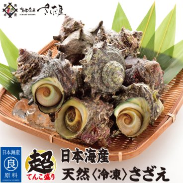 海鮮 BBQセット 日本海産 冷凍さざえ 1kg～3kg ガンガン焼き にオススメ♪ 【冷凍便】 美味しい贈物 敬老の日 お歳暮 ギフト