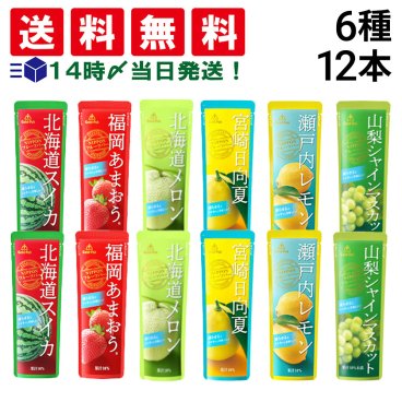 【 送料無料 】 ゴールドパック 凍らせておいしい NIPPON フルーツバー 詰め合わせ アソート セット 6種 各2本 計12本 まとめ買い （ スイカ あまおう メロン 日向夏 レモン シャインマスカット ）
