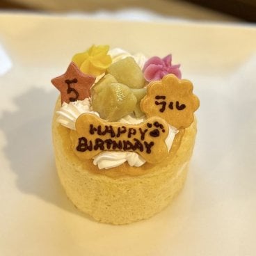 スフレチーズケーキ わんちゃん用（犬）ケーキ 誕生日 お祝い