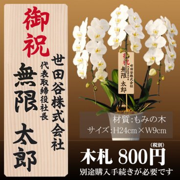 高級木札 木製 立て札 胡蝶蘭専用 もみの木