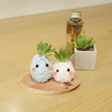 【ポポ＆ココ】モスビー 多肉植物 インテリア プレゼント 癒し ギフト 母の日 父の日 クリスマス 敬老の日 かわいい バレンタイン 植物 プレゼント 観葉植物