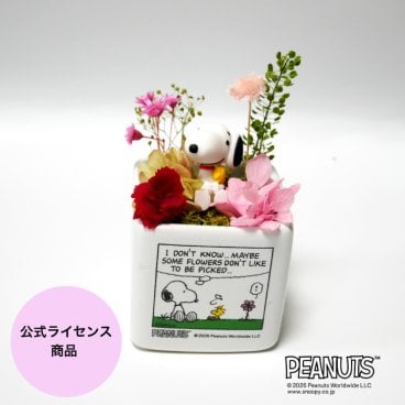 送料込み スヌーピー リトルガーデンHUG【プリザーブドフラワー フラワーアレンジメント 花 お花 キャラ スヌーピー 雑貨 インテリア プレゼント ギフト 母の日　誕生日 記念日 お祝い】