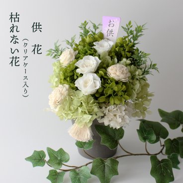 お彼岸 お彼岸の花 供花 プリザーブドフラワー お供え 仏花 【ケース入り】 白 仏壇 花枯れない 花 お供えの花 お悔やみ お供え花 法要花 フラワーアレンジメント クリアケース入り 命日 法事 法要 ご法要 御供 お盆 初盆 新盆 お悔み 葬儀 告別式 初七日 一周忌 四十九日 周期法要 仏壇 仏前 洋風 白系 仏壇花 仏壇用 清楚