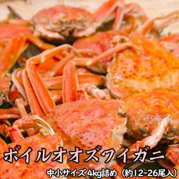訳ありボイルオオズワイガニ姿 中小サイズ 4kg詰 約12-26尾入