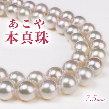 【限定５本】【7.5mm】特価 アコヤ パール ネックレス 【送料無料】<BR>あこや真珠 パールネックレス  可愛い 人気 レディース ジュエリー   真珠 綺麗  真珠ネックレス 卒業式 入学式 冠婚葬祭 ６月誕生石 結婚   安い セール お買い得