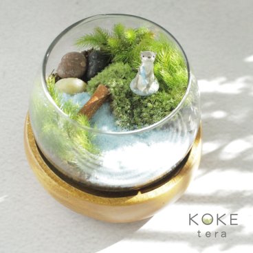 苔テラリウムキット カワウソの防水フィギュア付き