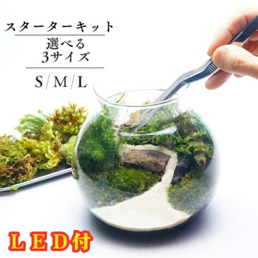 【スターターキット】３サイズから選べる LEDライト付ボトルテラリウム 作成キット 苔セット 苔 制作 白砂 カラーサンド ハンドメイド 自作キット キット 手作り ギフト
