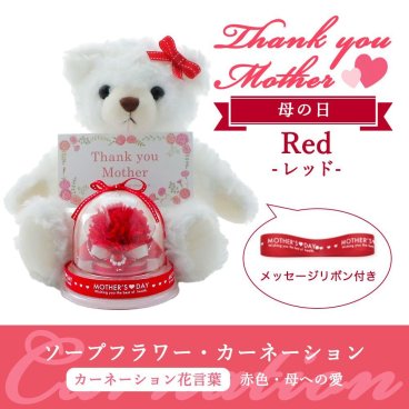 母の日 ギフト カーネーション ソープフラワー ぬいぐるみ付き くま ミニドーム クリアボックス入り アレンジ ギフトラッピング付き メッセージカード付 ｜ レッド 赤