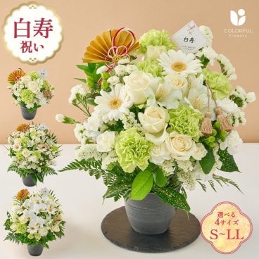 祝！白寿「白」99歳 S M L LL～オーキッド～ 生花 花市場から直送 誕生日 長寿祝い 記念日 アレンジメント 生花 花束 プレゼント