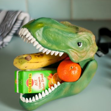 SUCK UK ダイナソー ケース（収納 おもちゃ 恐竜 小物入れ）「Dinosaur Case」イギリス サックユーケー ◇