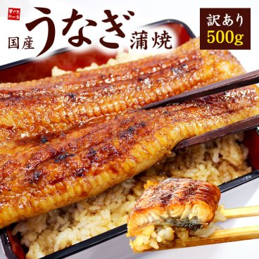 訳あり 国産うなぎ長蒲焼き500g！身が崩れたりサイズが不均一の訳あり品 送料無料 （ギフト お歳暮 お年賀 2025 プレゼント 土用の丑の日 御祝 内祝 贈り物）《not-ue3》[[訳ありウナギ蒲焼き500g]