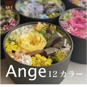 お祝い　退職　母の日【プリザーブドフラワー】【ボックスフラワー】【結婚祝い・お誕生日に】