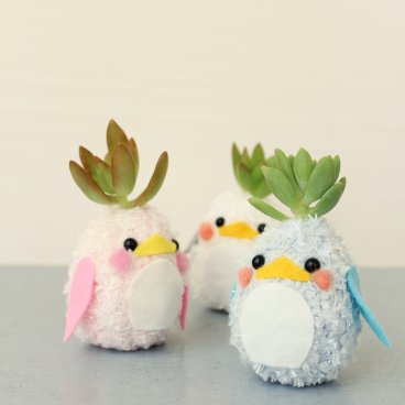 【ペンギン】モスビー 多肉植物 インテリア プレゼント 癒し ギフト 母の日 父の日 クリスマス 敬老の日 かわいい バレンタイン 植物 プレゼント 観葉植物