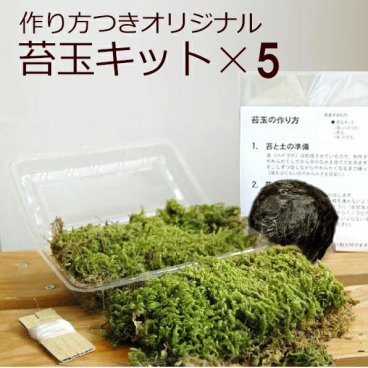 苔玉キット ５セット つくり方説明書付 ハイゴケ 手作り 初心者 こけだまの材料 かんたん作成キット 苔・苔玉用に配合した土・糸 イベント 法人向け 大量注文 こけだま 苔 こけ コケ コケダマ こけ玉 観葉植物