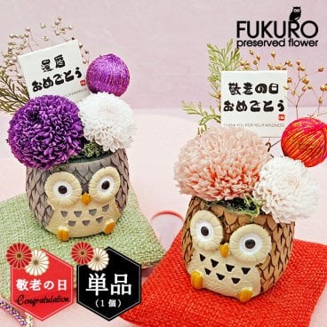 敬老の日 プレゼント ギフト 2026 ふくろう プリザーブドフラワー (単品1個)フクロウ お花 フラワー 名入れ 名前入り メッセージ入り 和風菊 還暦祝い 贈り物 誕生日 お祝い 祖父 祖母 実用的 おしゃれ  50代 60代 70代 80代 90代 趣味グッズ もらって嬉しい センスがいい 