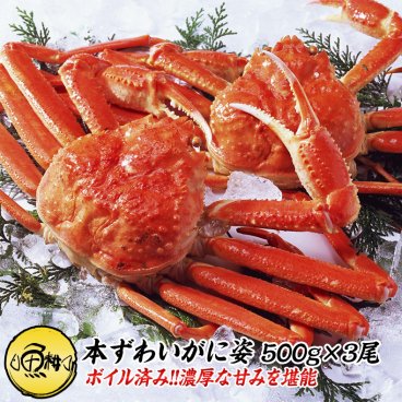 本ズワイガニ 姿 ボイル 1.5kg 500g×3尾 ずわい蟹 ずわいがに カニ かに
