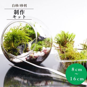 【スターターキット】8－16cm 白砂 砂利セット 苔テラリウム 自作 DIY 制作キット ギフト プレゼント