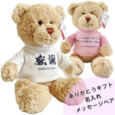 名入れメッセージテディベア（単品） 母の日 お母さん ありがとう 女性 恩師 卒団式 お急ぎオーダー対応可能 テディベア 名前入り かわいい ふわふわ クマ ぬいぐるみ 出産祝い 誕生日 女の子 GUND メモリアル 周年 記念品 卒団 卒業 卒部式  結婚記念日
