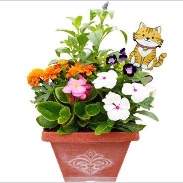 季節の寄せ植え 春夏 アンティーク調 スクエアプランター ブラウン　ギフトにも最適な季節のお花を寄せ植えに。【ギフト プレゼント ガーデンピック 玄関 ベランダ 送料無料 沖縄・離島を除く】
